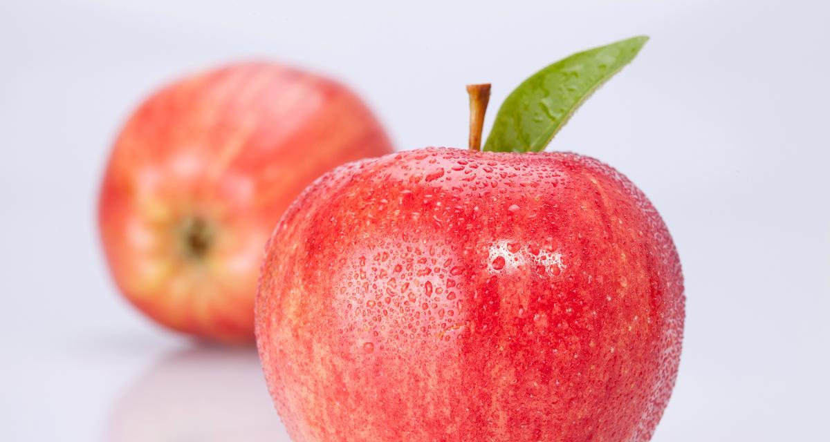 阿拉斯加犬产后宜吃哪些水果（宠物健康保障）(图1)