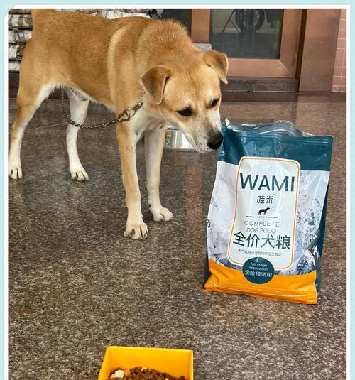 幼犬可否食用成年狗粮？（了解幼犬和成年狗粮的区别及选择）(图2)