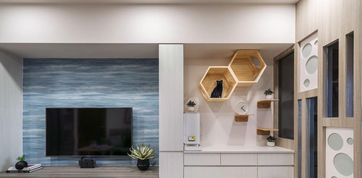 宠物家装指南（以宠物为主的家装技巧）(图2)