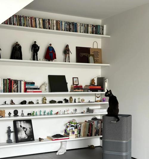 宠物家装指南（以宠物为主的家装技巧）(图3)