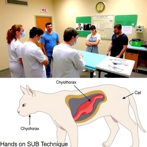 1月26日【重庆】(第125期)丨犬猫外科(高阶)班！含SUB(人人可实操)、乳糜胸等技术！(图2)
