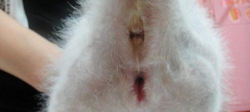 了解尿道造口（探索不同尿道造口型号的特点及使用指南）(图2)