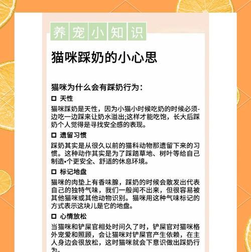 猫咪踩奶的时间究竟有多久？（解密猫咪踩奶行为背后的奥秘）(图3)