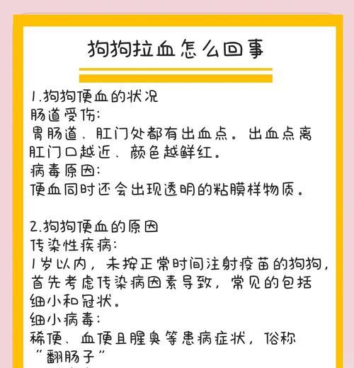狗狗吐血，五种可能的原因及解决方法（了解吐血颜色对狗狗健康的重要性）(图4)
