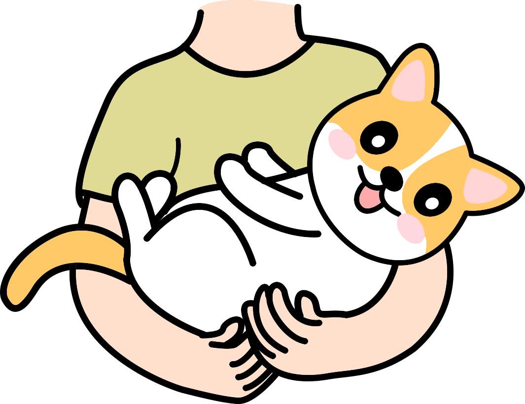 怎么让狗狗知道你很爱它？ - 新生家伴