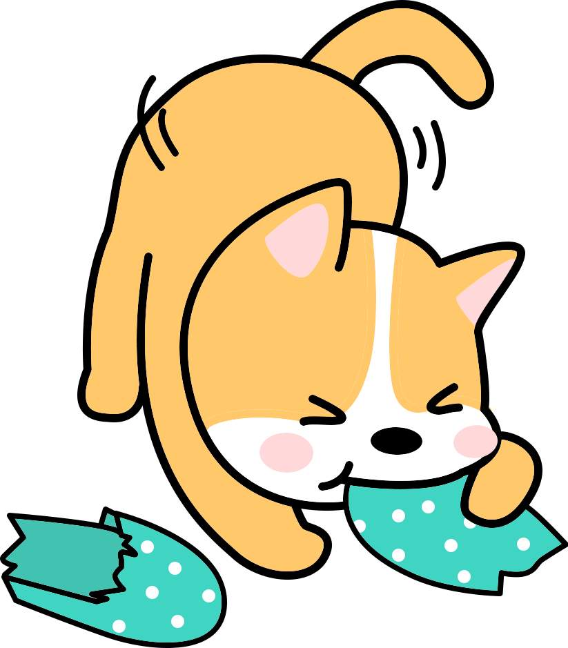 怎么让狗狗知道你很爱它？(图7)