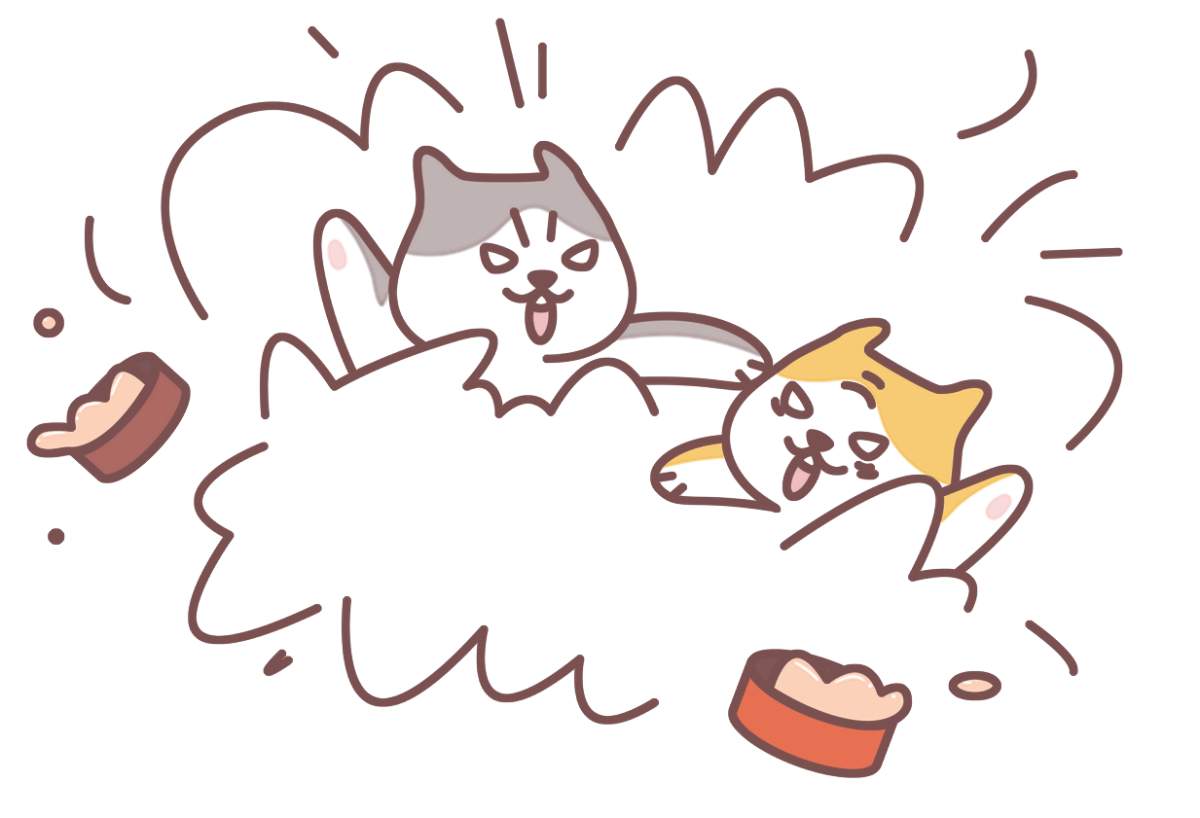 猫也会吃醋？盘点猫咪吃醋的5种表现(图6)