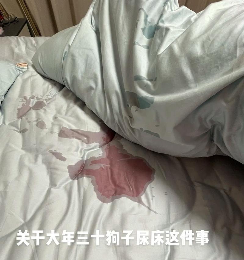 狗狗遗尿原因分析（探究狗狗遗尿的原因和解决方法）(图2)