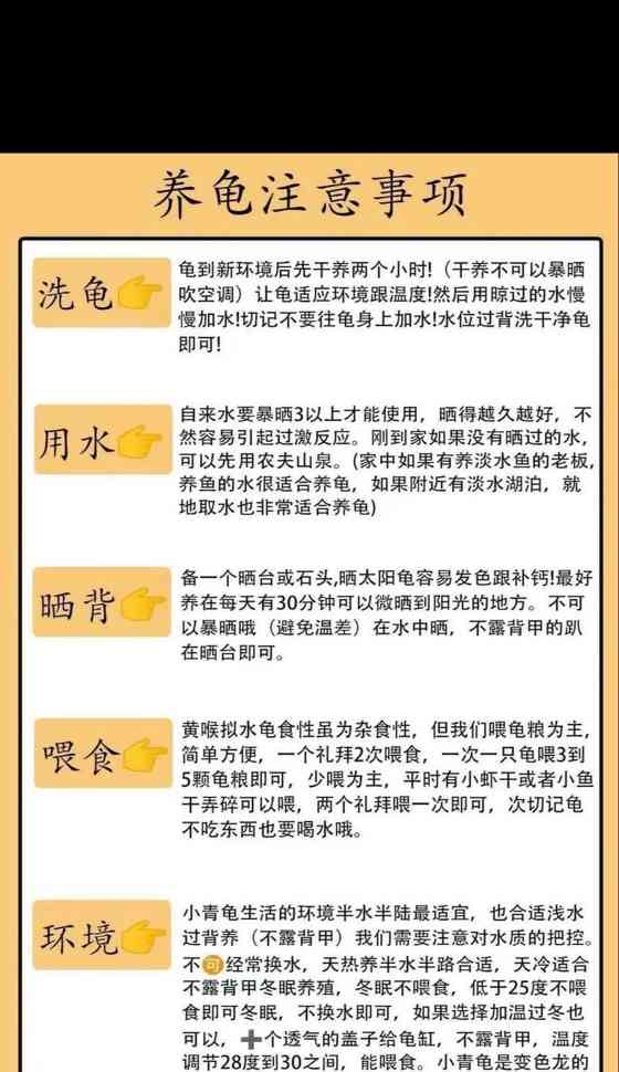 黄泥龟的饲养方法（让你的黄泥龟健康成长的秘诀）(图3)