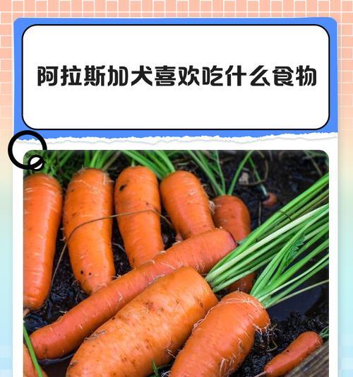 喂肉对阿拉斯加犬好不好？（探讨宠物犬食肉的利弊及注意事项）(图3)