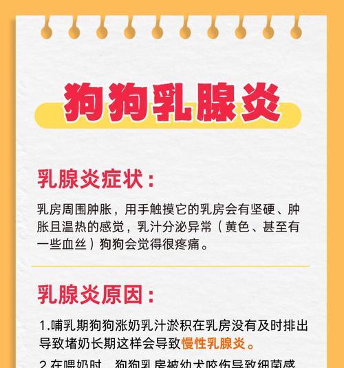 小狗胸部肿是什么病？（了解病因及治疗方法）(图3)