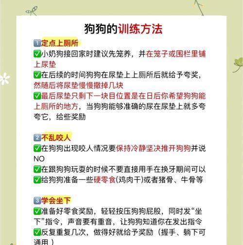 如何确定拉布拉多犬最佳配种时机？（从宠物健康、繁殖周期、遗传基因等方面入手，把握最佳配种时机）(图1)