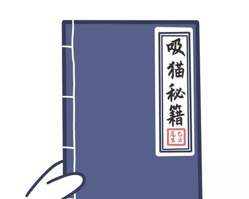 Solo猫咪的游戏指南（如何为Solo猫咪提供有趣的游戏体验）(图1)