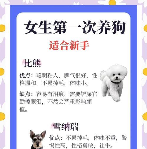 10条方法让你的宠物远离眼部疾病（10条方法让你的宠物远离眼部疾病）(图2)