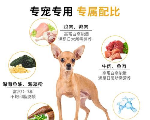 5斤狗狗的日常狗粮摄入量（每天喂多少狗粮才合适？）(图1)