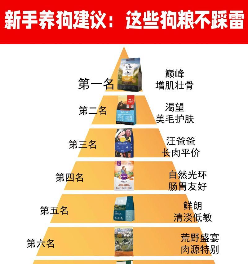 5斤狗狗的日常狗粮摄入量（每天喂多少狗粮才合适？）(图3)