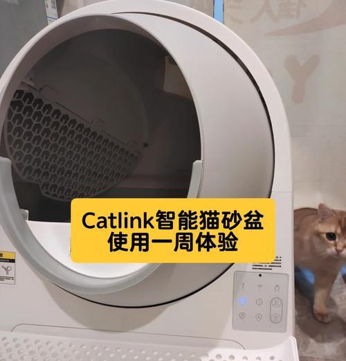 10kg猫砂使用指南（一袋猫砂可供使用多久？找到经济实惠的选择）(图3)