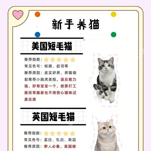 挑战猫咪快乐开关的秘密（探索猫咪的幸福源泉，让它们快乐无尽）(图2)