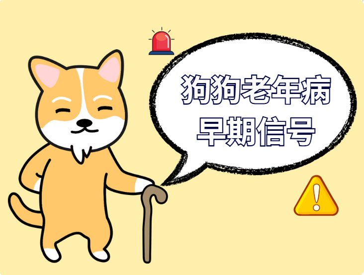 狗狗7岁＝人类50岁！警惕这些老年病的早期信号 - 新生家伴
