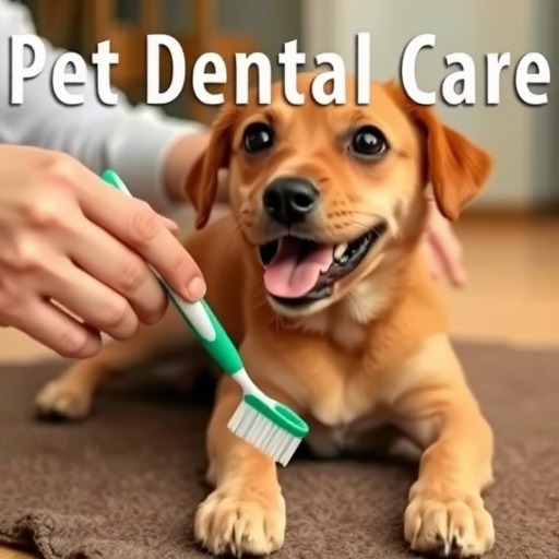 狗狗刷牙可以用人类牙膏吗？(图3)