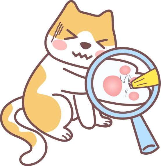 剪指甲好难！为什么猫咪不让人摸爪子？(图4)