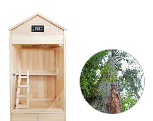 巨泡灰鼠饲养指南（从选购到饲养，一步步教你养宠物灰鼠）(图3)