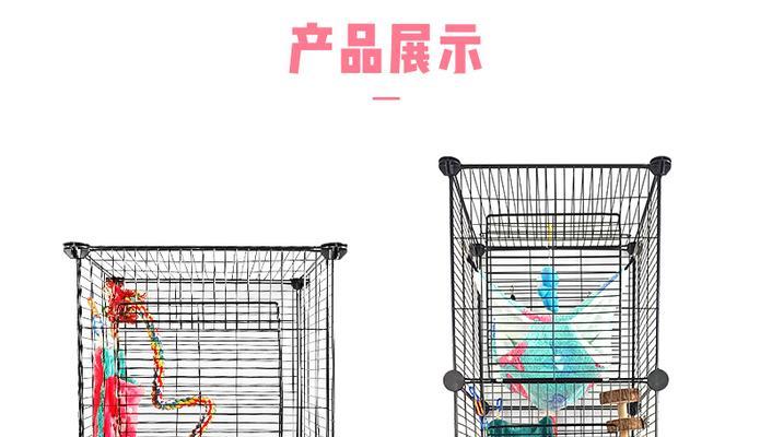 巨泡灰鼠饲养指南（从选购到饲养，一步步教你养宠物灰鼠）(图1)