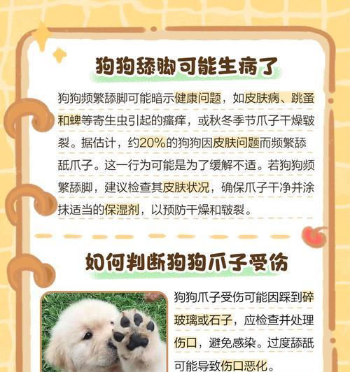 为什么狗狗老用爪抓痒？（了解狗狗抓痒的原因，保障它们的健康）(图2)