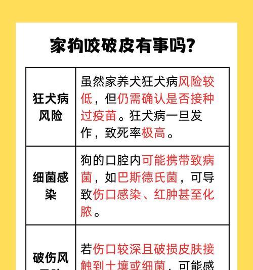 狗狗外伤怎么处理治疗（关爱宠物健康，从应