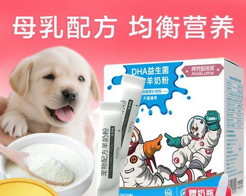 泰迪刚生完小狗，如何科学喂养？（喂养注意事项，营养搭配，健康保障）(图2)