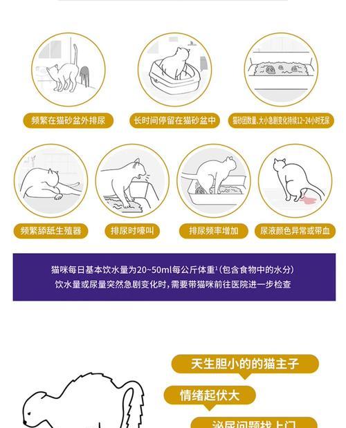 猫咪的体力消耗（探究猫咪运动消耗的奥秘）(图2)