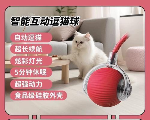猫咪的体力消耗（探究猫咪运动消耗的奥秘）(图3)