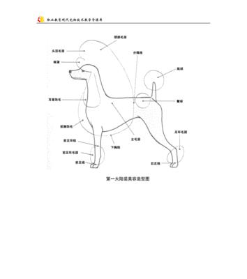 贵宾犬美容大揭秘（从洗澡到修剪，如何让你的贵宾犬更加美丽）(图2)