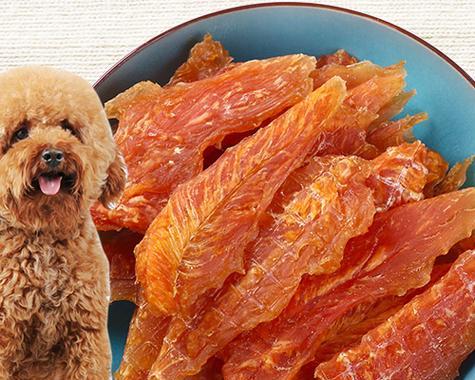 五斤泰迪犬的日常饮食（了解合理饮食，让宠物健康成长）(图2)