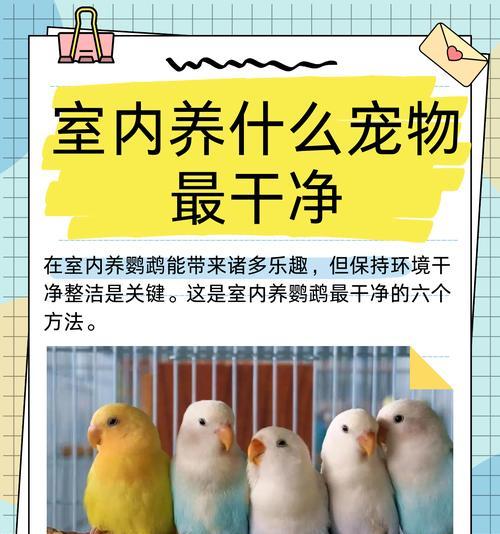 宠物养哪些品种合适？（了解不同宠物品种，选择适合的宠物伴侣）(图3)