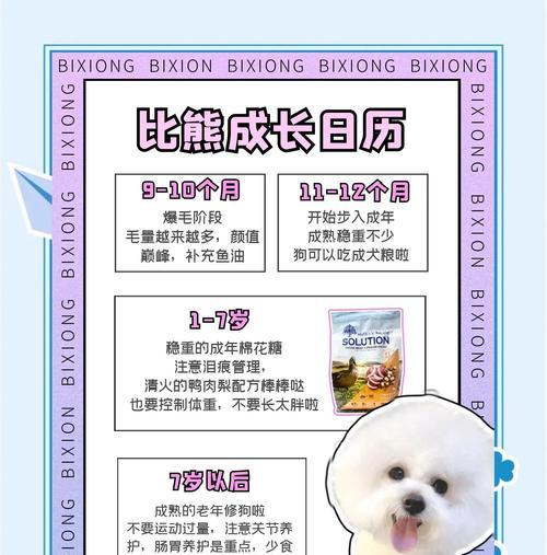 比熊吃饭与排便的时间关系（以比熊吃了饭多久拉便便为主题的研究）(图2)