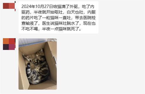 猫咪驱虫后呕吐死亡，“凶手”究竟是谁？(图1)