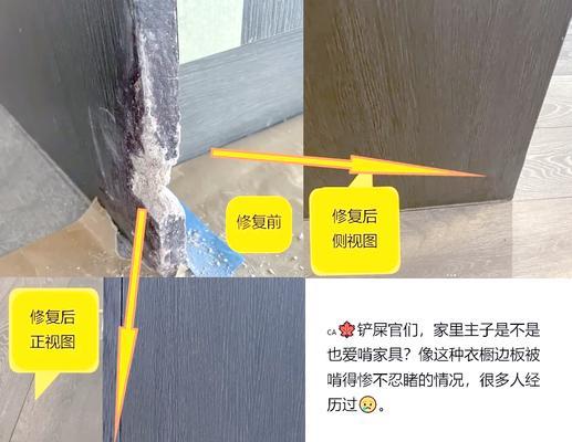 宠物如何不咬抓家具（宠物训练、物品购买、家具维护）(图2)