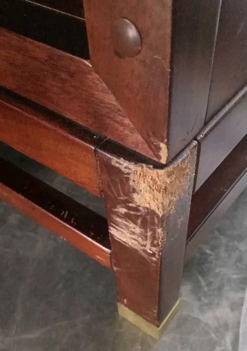 宠物如何不咬抓家具（宠物训练、物品购买、家具维护）(图3)