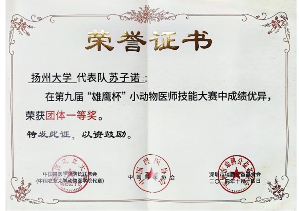 赛学双优‼️这个团队全员保研(图25)