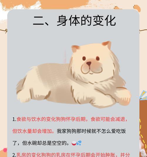 狗的第一胎隔多久生一次?(探寻狗生育周期的奥秘)(图2) 狗的第一胎隔多久生一次?(探寻狗生育周期的奥秘)(图2)