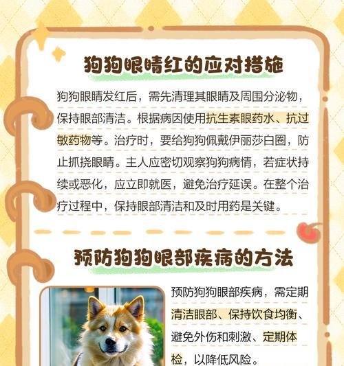 狗狗眼部发红疾病（了解狗狗眼部发红的常见疾病及其处理方法）(图3)