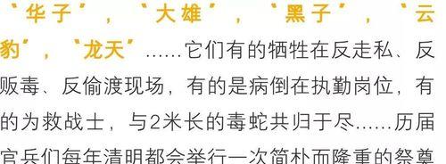 狗的第一胎隔多久生一次?(探寻狗生育周期的奥秘)(图3) 狗的第一胎隔多久生一次?(探寻狗生育周期的奥秘)(图3)