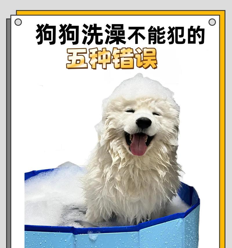 宠物狗生小狗多久后能洗澡的时机与注意事项（如何科学合理地为新生小狗洗澡以及洗澡前后的护理）(图1)