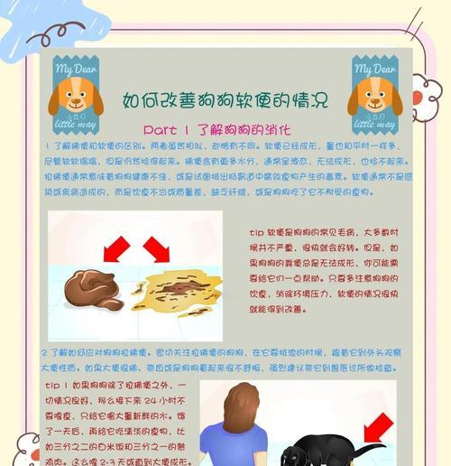 狗狗消化系统的特性（探究宠物狗的饮食规律及消化过程）(图1)