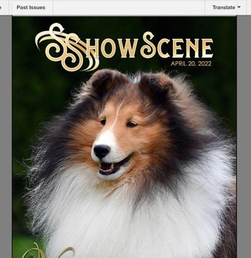 喜乐蒂的性格特点剖析（从宠物的角度看喜乐蒂的性格特点）(图3)