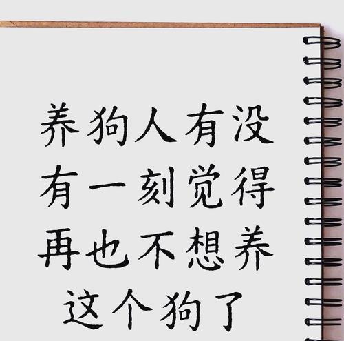 关于狗狗养护的重要性（如何正确处理养狗中的问题）(图2)