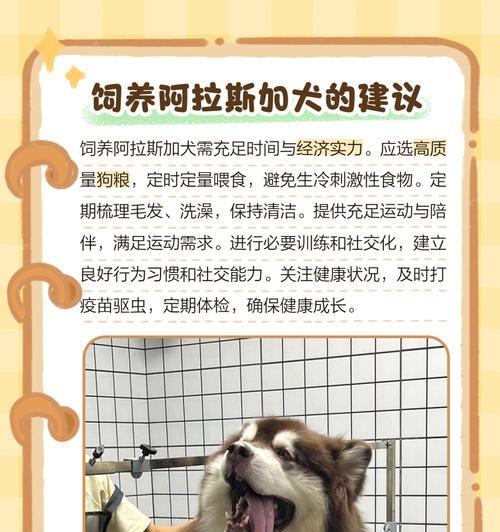 关于狗狗养护的重要性（如何正确处理养狗中的问题）(图3)