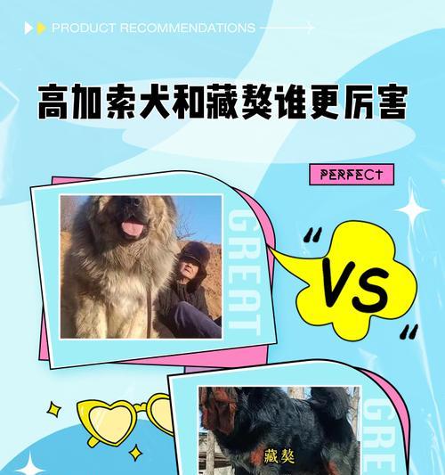 打造服从性高的高加索犬（以宠物为主的训练要点和技巧）(图2)