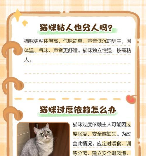 小猫不爱玩很粘人的原因与解决方法（打破“猫不爱玩”的迷思，让小猫喜欢上玩耍）(图3)